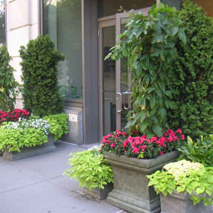 entrances